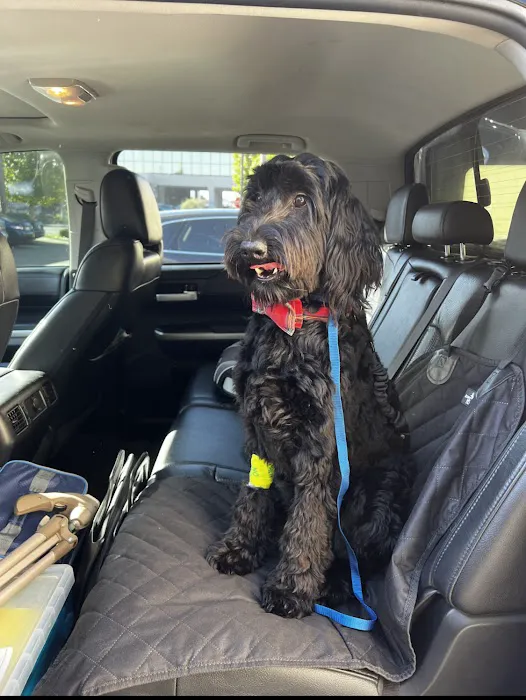 Costa Mesa Animal Hospital Picture 8