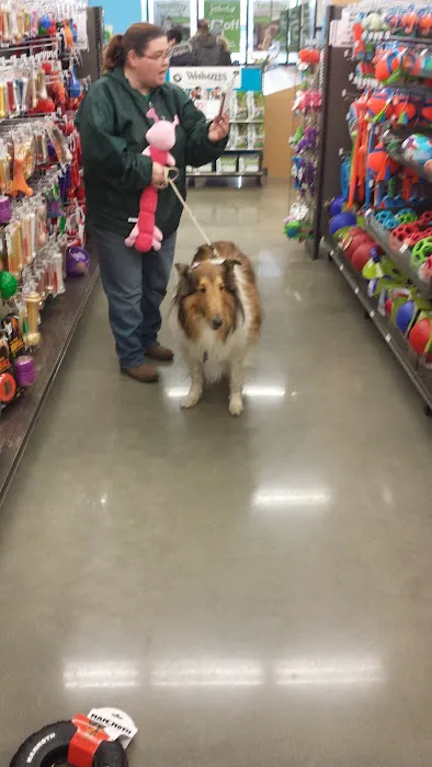 Petco Picture 3