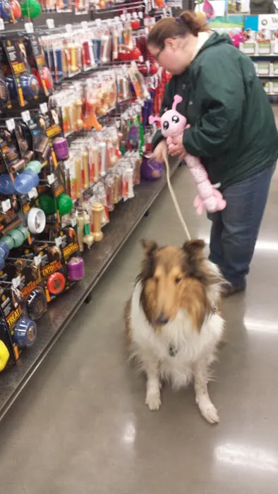 Petco Picture 1