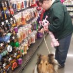Petco