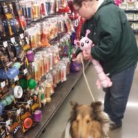 Petco ico
