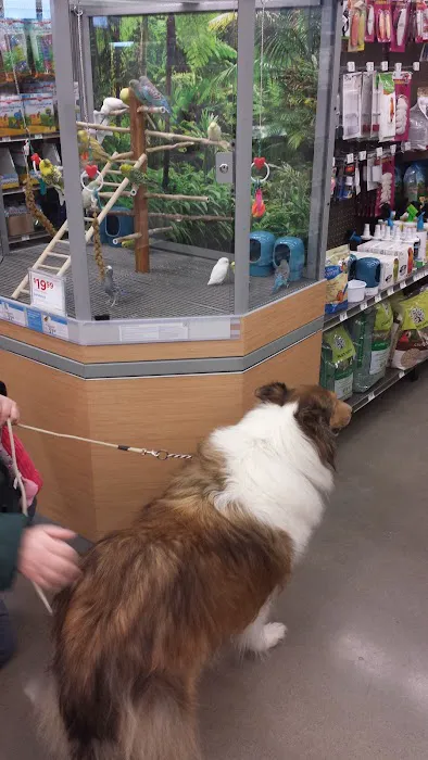 Petco Picture 6