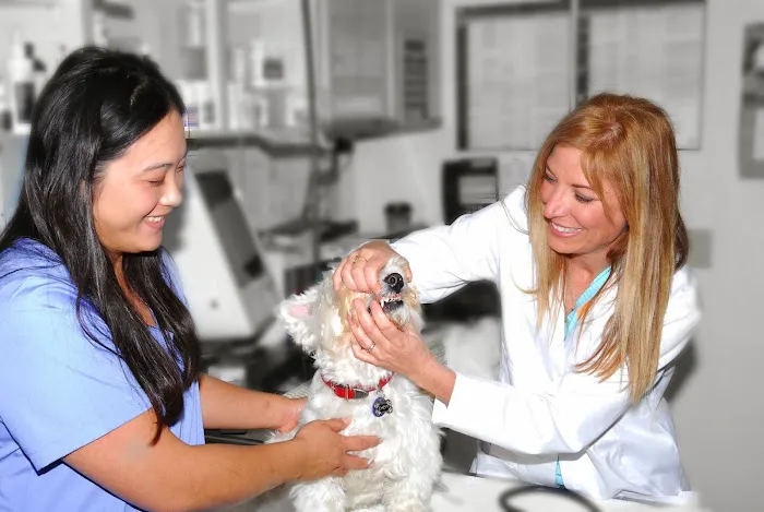Mariners Mile Pet Clinic Picture 7