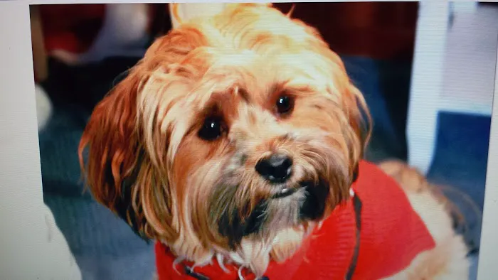 Mariners Mile Pet Clinic Picture 6