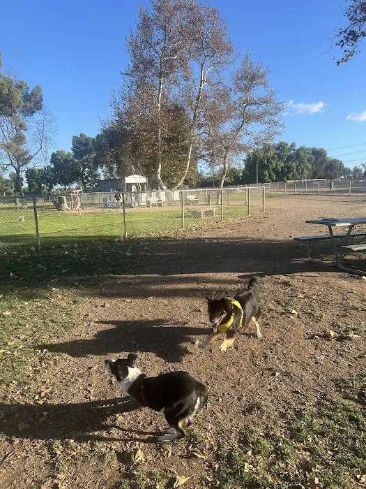 Newport Hills Animal Hospital Picture 4