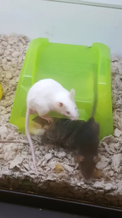 Petco Picture 1