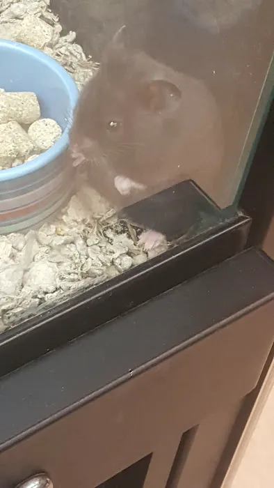 Petco Picture 3