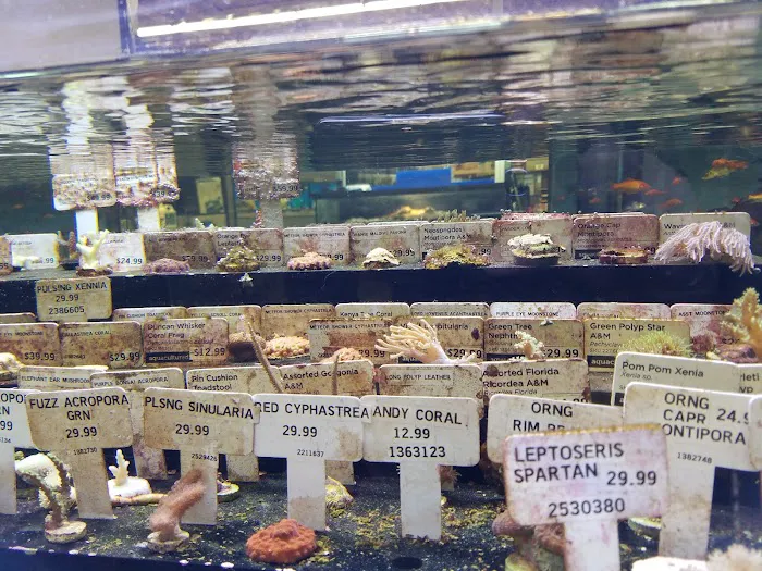 Petco Picture 8