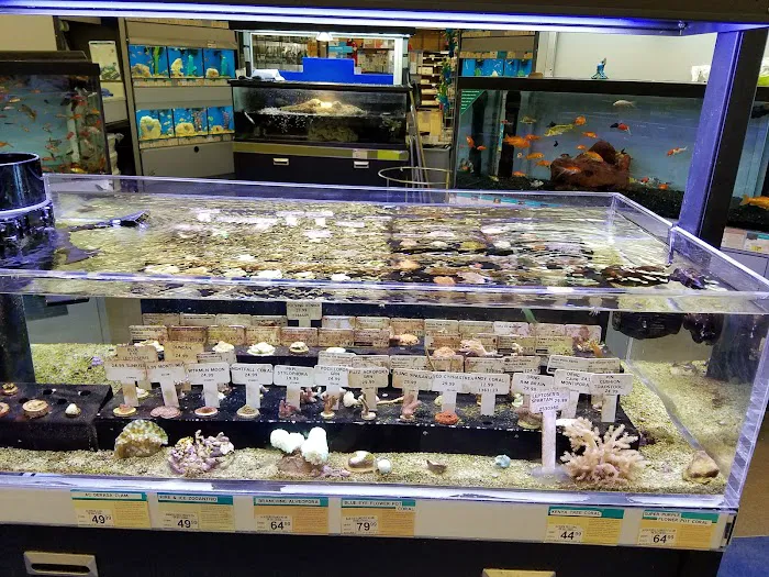 Petco Picture 7