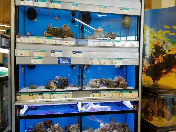 Petco Picture 6