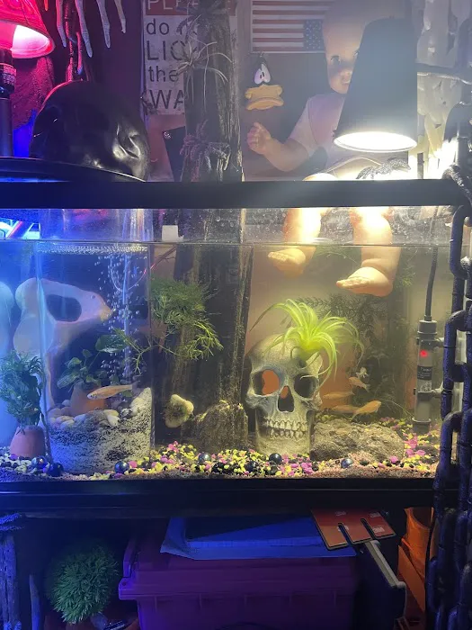 Petco Picture 9