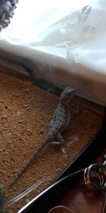 Petco Picture 2