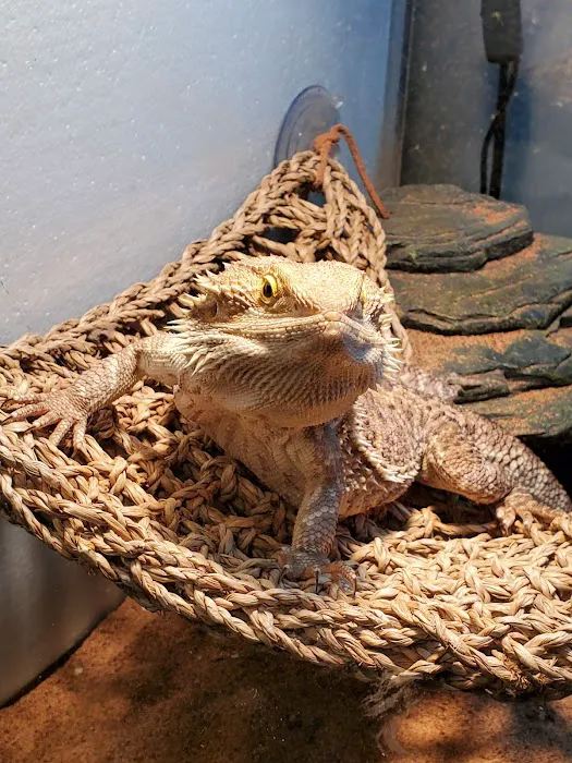 Petco Picture 8