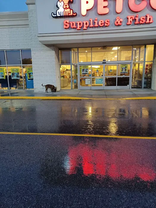 Petco Picture 1