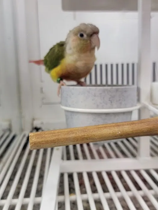 Petco Picture 5