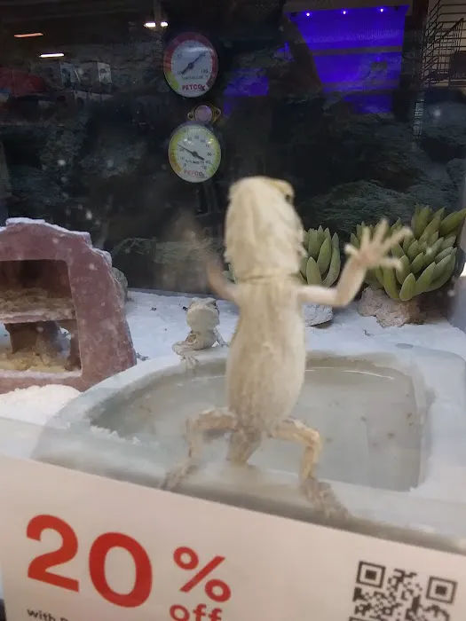 Petco Picture 9