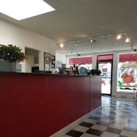 Lido Animal Hospital ico