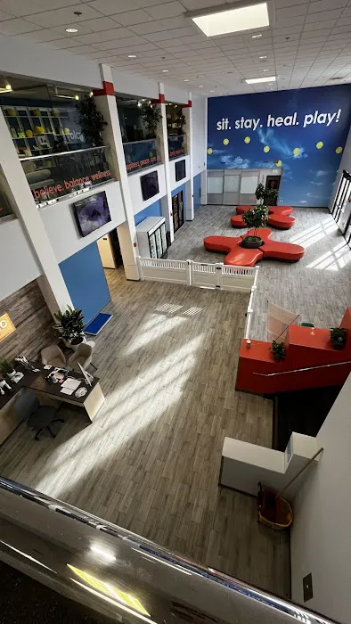 Paw Sweet Paw | Pet Resorts Picture 4