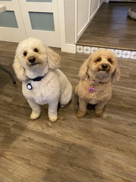 North Hills Animal Hospital Picture 7