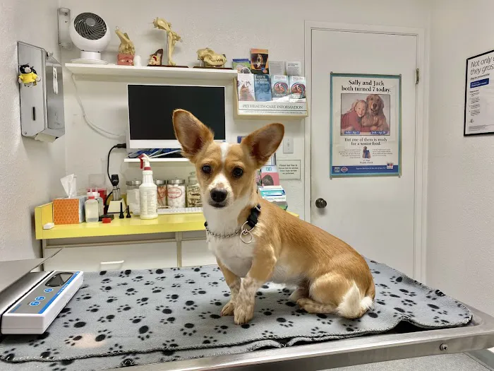 North Hills Animal Hospital Picture 2