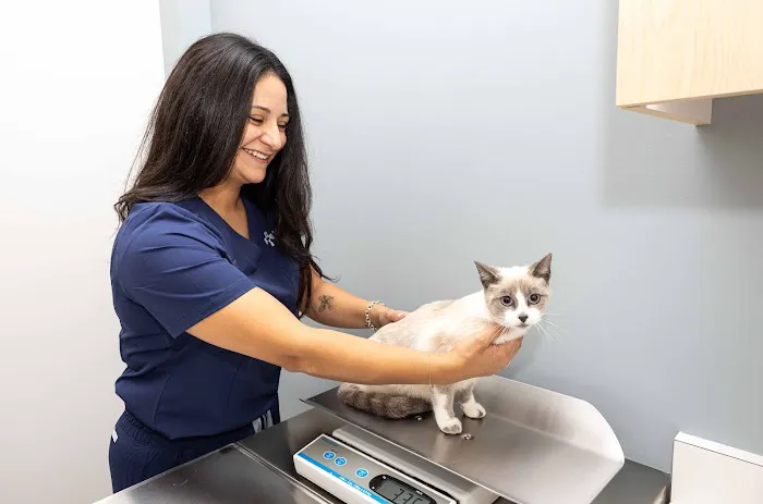 North Hills Animal Hospital Picture 3
