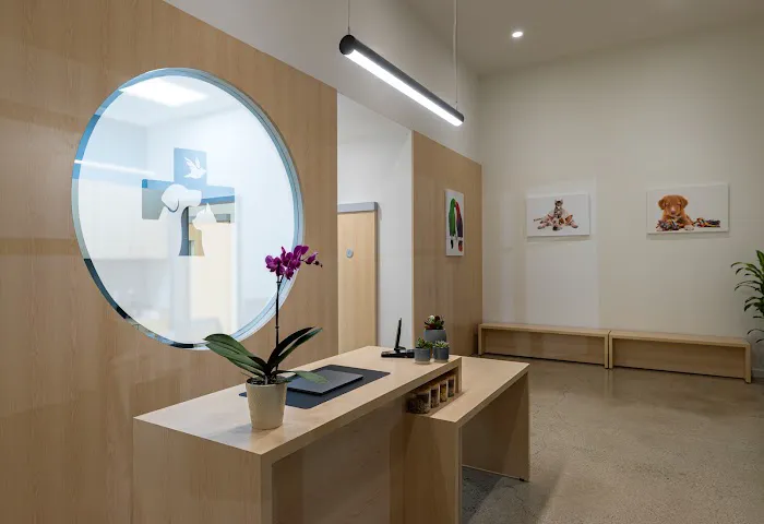 North Hills Animal Hospital Picture 10
