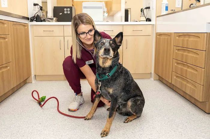 North Hills Animal Hospital Picture 4