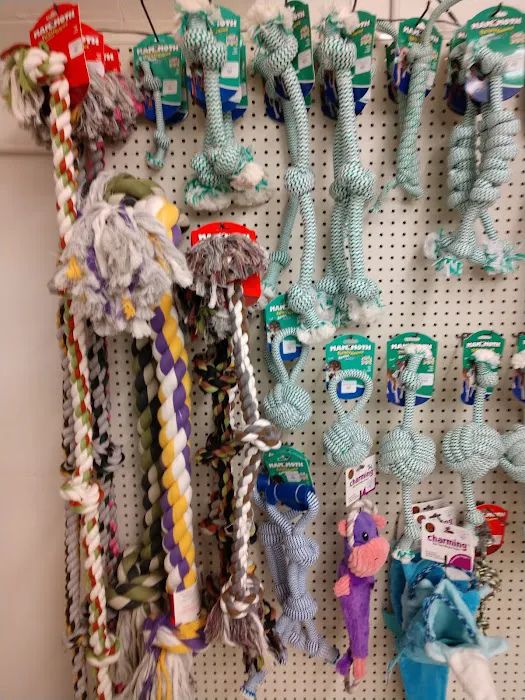 Blue Dog Pet Shop Picture 4