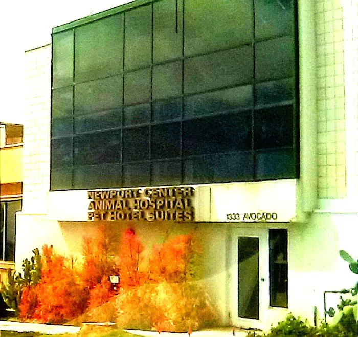 Newport Center Animal Hospital & Pet Hotel Suites Picture 3