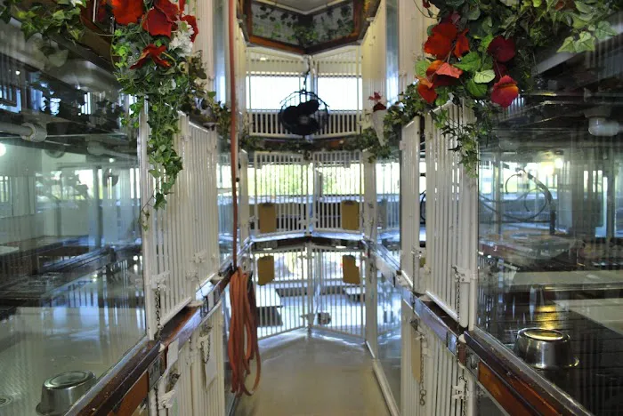 Newport Center Animal Hospital & Pet Hotel Suites Picture 4
