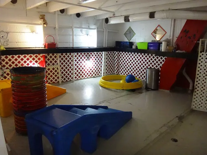 Newport Center Animal Hospital & Pet Hotel Suites Picture 7