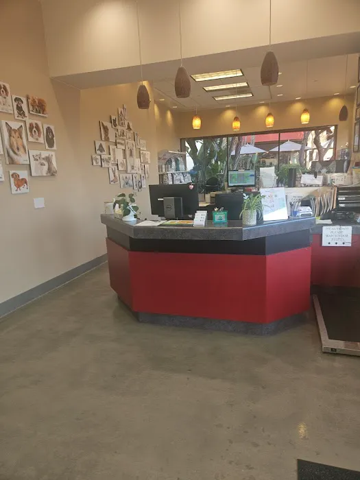 Newport Animal Hospital Picture 6