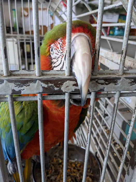 Village Pet Shoppe Picture 10