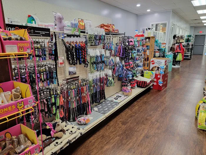 Village Pet Shoppe Picture 6