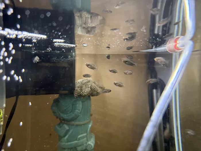 Fishbros Picture 2