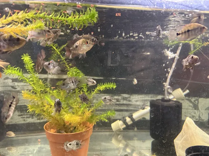 Fishbros Picture 9