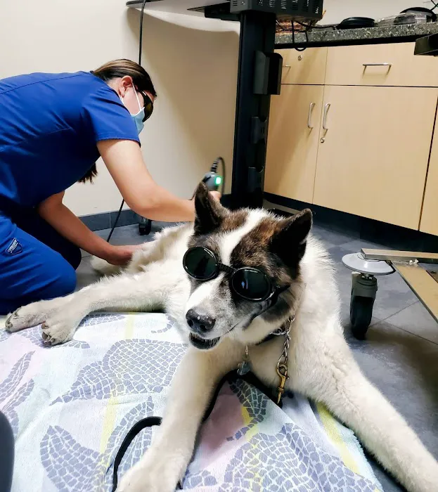 Lake Forest Animal Clinic Picture 6