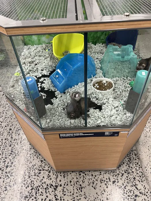 Petco Picture 9