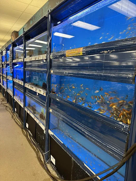 Petco Picture 9