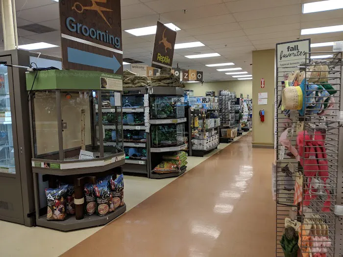 Petco Picture 4