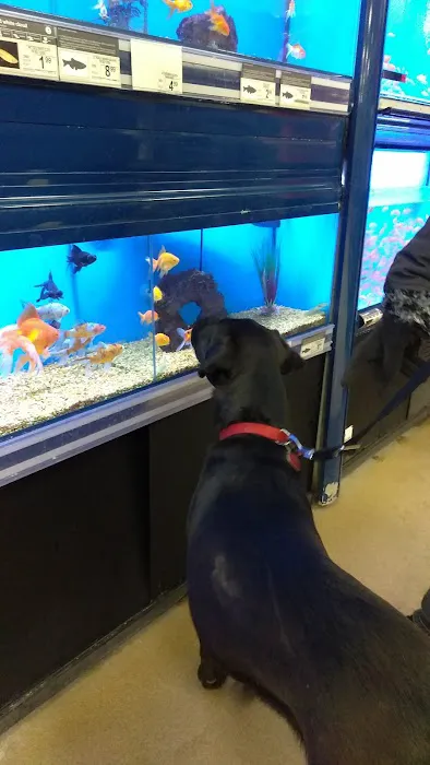 Petco Picture 2