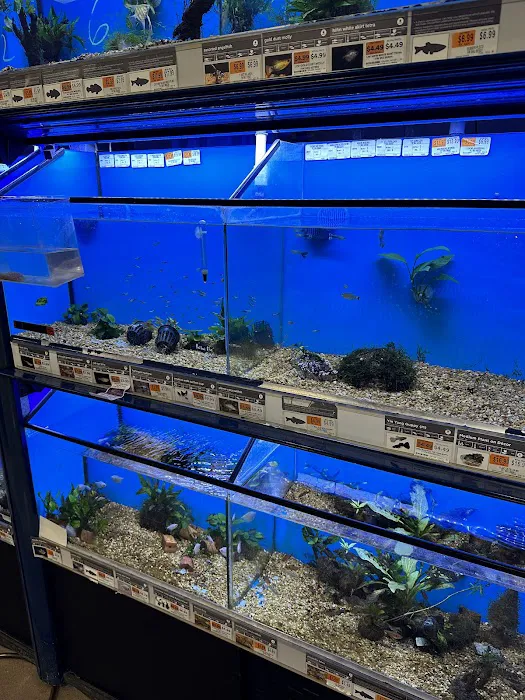 Petco Picture 8