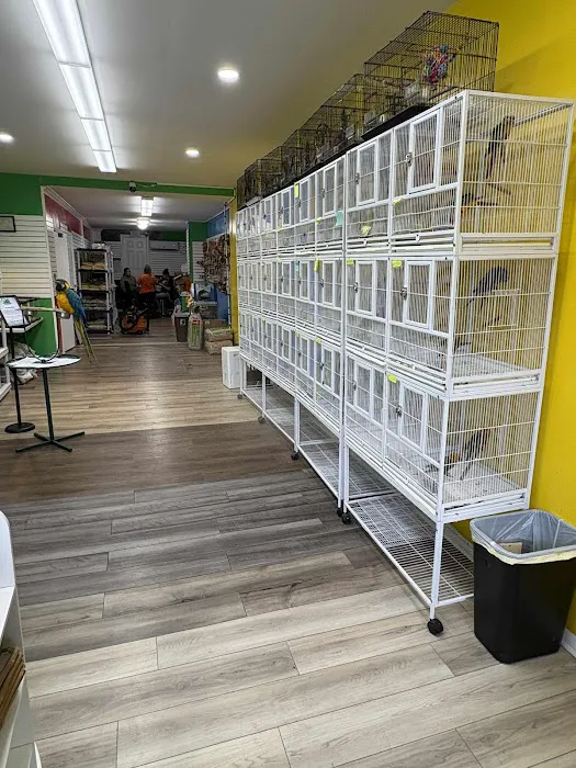 Loros Exoticos Baltimore Picture 4