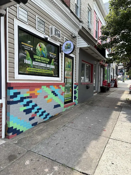 Loros Exoticos Baltimore Picture 8