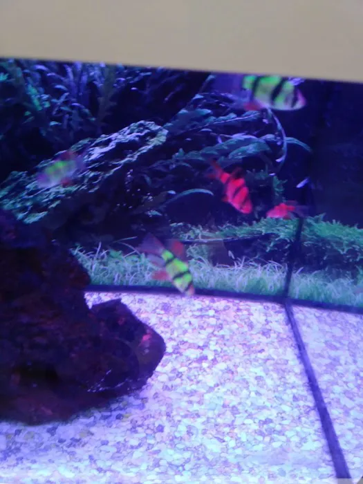 Petco Picture 7
