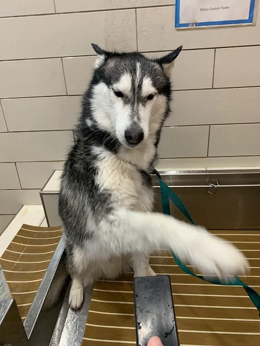 Petco Picture 6