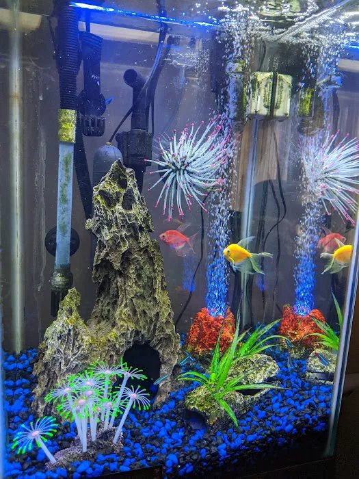 Petco Picture 10