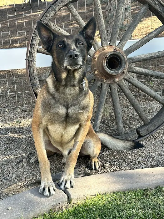 Laguna Hills Animal Hospital Picture 9