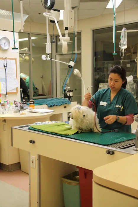 VCA Arroyo Animal Hospital Picture 9