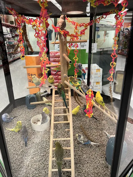 Petco Picture 2